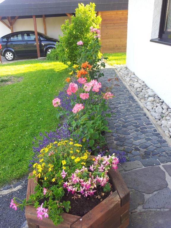 Ferienwohnung Evangeline Borsch Zell an der Mosel Bagian luar foto