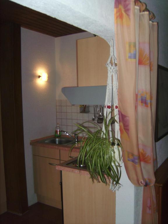 Ferienwohnung Evangeline Borsch Zell an der Mosel Bagian luar foto